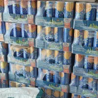 رانی میهن و سانی نس به قیمت قدیم