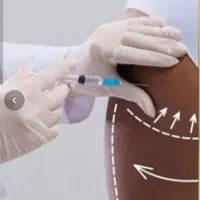 جشنواره فیلر بادی،باسن،هیپ دیپ،بیکینی