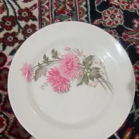 ظروف