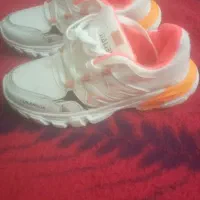 کفش اسپرت نو