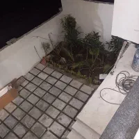 سم پاشی و باغبانی