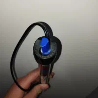 بخاری ماهی|ماهی|تربت‌حیدریه, بهزیستی|دیوار