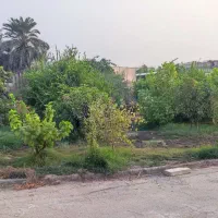 اجاره سوییت و منزل ویلایی حیاط دار مستقل