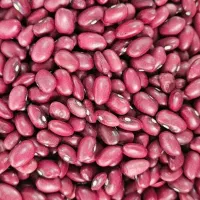 لوبیا قرمز بو جاری شده تمیز درجه یک