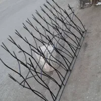 شاخ گوزنی|خدمات پیشه و مهارت|اراک, |دیوار
