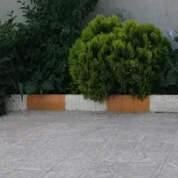 خانه ویلا|فروش خانه و ویلا|چناران, |دیوار