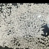 برنج عنبربوی بابابرنجی|خوردنی و آشامیدنی|قم, باغ کرباسی|دیوار