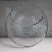 تعدادی تنگ ماهی