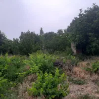 فروش باغ