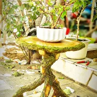 میزصندل|صندلی و نیمکت|تبریز, |دیوار