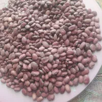 لو بیا قرمز  خوش پخت نیشابور پاک شد|خوردنی و آشامیدنی|نیشابور, مازول|دیوار