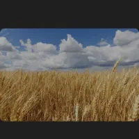 باغ و مزرعه کشاورزی دهاقان بودجان