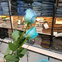 فروشنده خانم در پوشاک بچه گانه