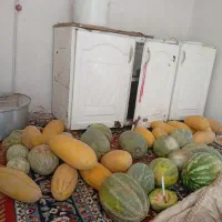 پوچاق