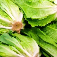 کارگر صادراتی