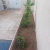 فروش خانه|فروش خانه و ویلا|کارزان, |دیوار