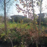 زمین مسکونی ۳۰۰ متری لاهیجان سیاهکل سند پروانه|فروش زمین و ملک کلنگی|لاهیجان, کوه بیجار|دیوار