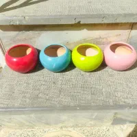 چهار عدد گلدان|گل مصنوعی|سنندج, |دیوار