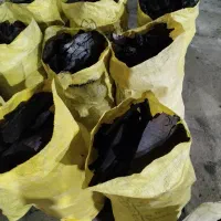 زغال کبابی درجه یک آجیلی و سیب رستورانی|عمدهفروشی|حبیب آباد, |دیوار