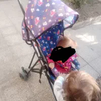 کالسکه عصایی