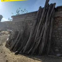 خرید انواع چوب خانەهای قدیمی و چوب باغی|خدمات باغبانی و درختکاری|بانه, |دیوار