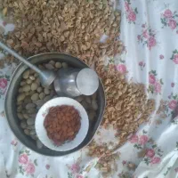 مغز بادام