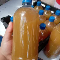 ابقوره تازه
