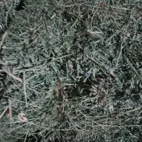 کاه و یونجه|لوازم جانبی حیوانات|دشتابی, |دیوار