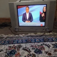 تلویزیون