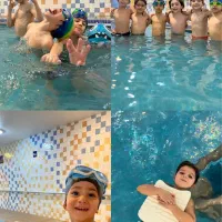 آموزش شنا در استخر چهارفصل با مربیان بین‌المللی|خدمات آموزشی|شیراز, خلدبرین|دیوار