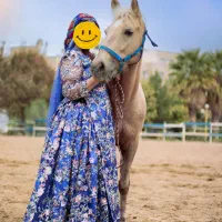 اجاره.کرایه.فروش. لباس محلی|لباس|شیراز, وحدت|دیوار