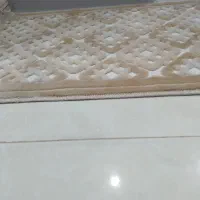 پادری