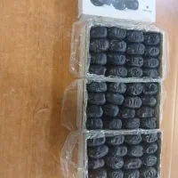 ۱۰تن خرما سه ردیفه روداب