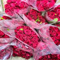 بسته گل رز هلندی طبیعی
