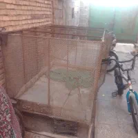 قفس کبوتریاکفتر بامیله گرد14و16|پرنده|بندر ماهشهر, |دیوار