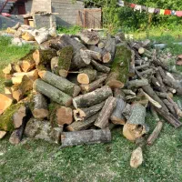 هیزم مرغوب|خدمات باغبانی و درختکاری|چالوس, |دیوار