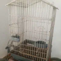 قفس بزرگ طوطی سانان