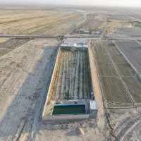 زمین جهت گلخانه برای مشارکت