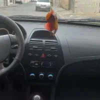 تیبا ۲|خودرو سواری و وانت|اشتهارد, |دیوار