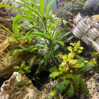 اکواریوم پلنت با تمام تجهیزات