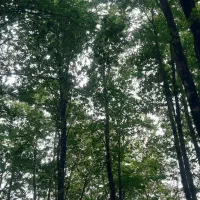 فروش برای تجاری و مسکونی