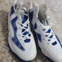 کفش شماره ۴۳