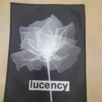 مارک استیکر لباس