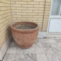 گلدان بزرگ سفالی 46×39|گل و گیاه طبیعی|یزد, |دیوار