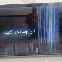 تلوزیون هیمالیا|تلویزیون و پروژکتور|مریوان, |دیوار