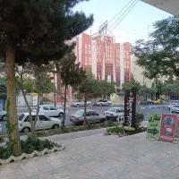 واحد اداری مسکونی 50 متری سندتک برگ، فاز یک ارکیده