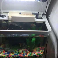 تعدادلوازیم خانگی نوودست دوم همگی سالم