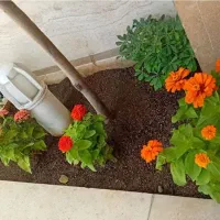 باغبانی .سم پاشی . هرس کردن . گلکاری و درخت