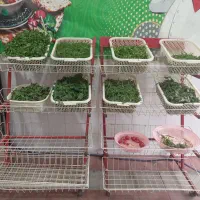 سبزی اماده