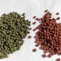 غذا ماهی آکواریوم|ماهی|تهران, قیطریه|دیوار